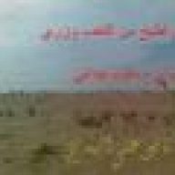 نافع علي البشري